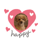 レオンの日常♡（個別スタンプ：23）