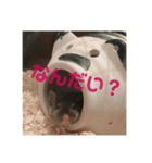 ファンシーマウスのジジとキキ（個別スタンプ：2）