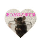 ファンシーマウスのジジとキキ（個別スタンプ：3）
