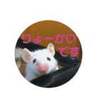 ファンシーマウスのジジとキキ（個別スタンプ：5）