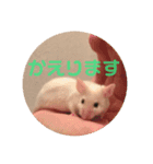ファンシーマウスのジジとキキ（個別スタンプ：6）