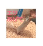 ファンシーマウスのジジとキキ（個別スタンプ：7）
