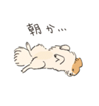 まいにちわんこ2（個別スタンプ：2）