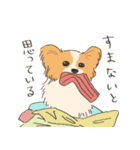 まいにちわんこ2（個別スタンプ：9）