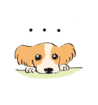 まいにちわんこ2（個別スタンプ：11）