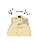 まいにちわんこ2（個別スタンプ：21）
