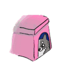 よしむらけ カラフルスタンプ（個別スタンプ：19）