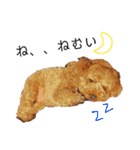 わが家のくるみちゃん★実写（個別スタンプ：4）