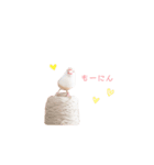 Cookie's daily life（個別スタンプ：2）