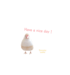 Cookie's daily life（個別スタンプ：3）