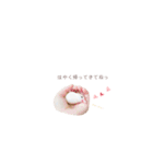 Cookie's daily life（個別スタンプ：5）