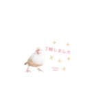 Cookie's daily life（個別スタンプ：20）