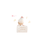 Cookie's daily life（個別スタンプ：22）
