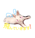 こっちゃんとちーちゃん（個別スタンプ：2）