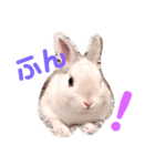 こっちゃんとちーちゃん（個別スタンプ：3）