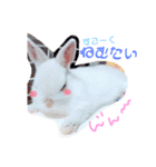 こっちゃんとちーちゃん（個別スタンプ：5）