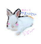 こっちゃんとちーちゃん（個別スタンプ：6）