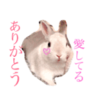こっちゃんとちーちゃん（個別スタンプ：7）