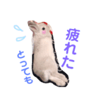 こっちゃんとちーちゃん（個別スタンプ：8）