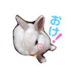 こっちゃんとちーちゃん（個別スタンプ：9）