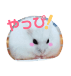 こっちゃんとちーちゃん（個別スタンプ：13）
