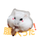 こっちゃんとちーちゃん（個別スタンプ：14）