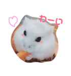 こっちゃんとちーちゃん（個別スタンプ：16）