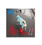 アークのスタンプ（個別スタンプ：5）