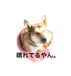 アークのスタンプ（個別スタンプ：7）