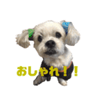 アークのスタンプ（個別スタンプ：16）