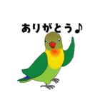 ボタンインコのモモです（個別スタンプ：2）