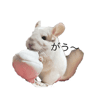 れんざら、たまにオレオくん（個別スタンプ：8）