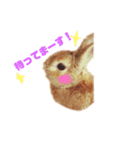 うさぎのみんと君 敬語（個別スタンプ：4）