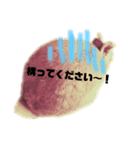 うさぎのみんと君 敬語（個別スタンプ：7）