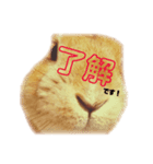 うさぎのみんと君 敬語（個別スタンプ：8）