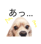 キャンディーとミルク（個別スタンプ：22）