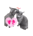 猫カフェキャッチーの日常（個別スタンプ：25）