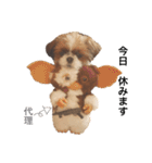 シーズー×狆ミックスにこちゃん（個別スタンプ：21）