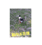 犬のとしおくん2（個別スタンプ：4）