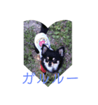 犬のとしおくん2（個別スタンプ：5）