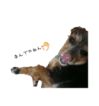 クッキーSAN.2（個別スタンプ：14）