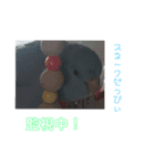 インコ: マメルリハのうにちゃん@1（個別スタンプ：16）