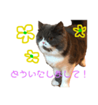 仲良し兄弟モコとグリPart4（個別スタンプ：14）