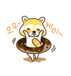raccoon neogooling（個別スタンプ：8）