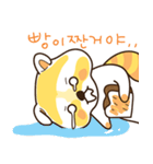raccoon neogooling（個別スタンプ：17）
