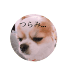 ソイクル 2弾（個別スタンプ：2）