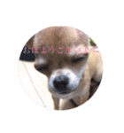 ソイクル 2弾（個別スタンプ：5）