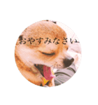 ソイクル 2弾（個別スタンプ：6）