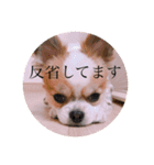 ソイクル 2弾（個別スタンプ：7）