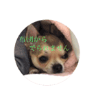 ソイクル 2弾（個別スタンプ：13）